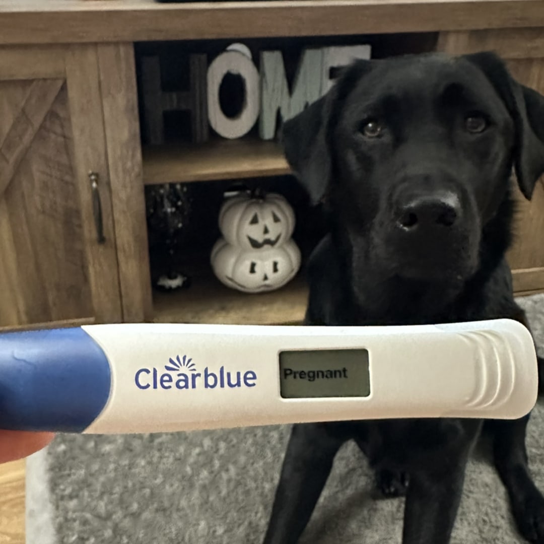 Photo shared by Samantha for their Babylist baby registry.