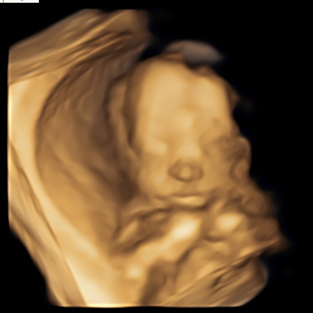 Photo shared by Natasha for their Babylist baby registry.