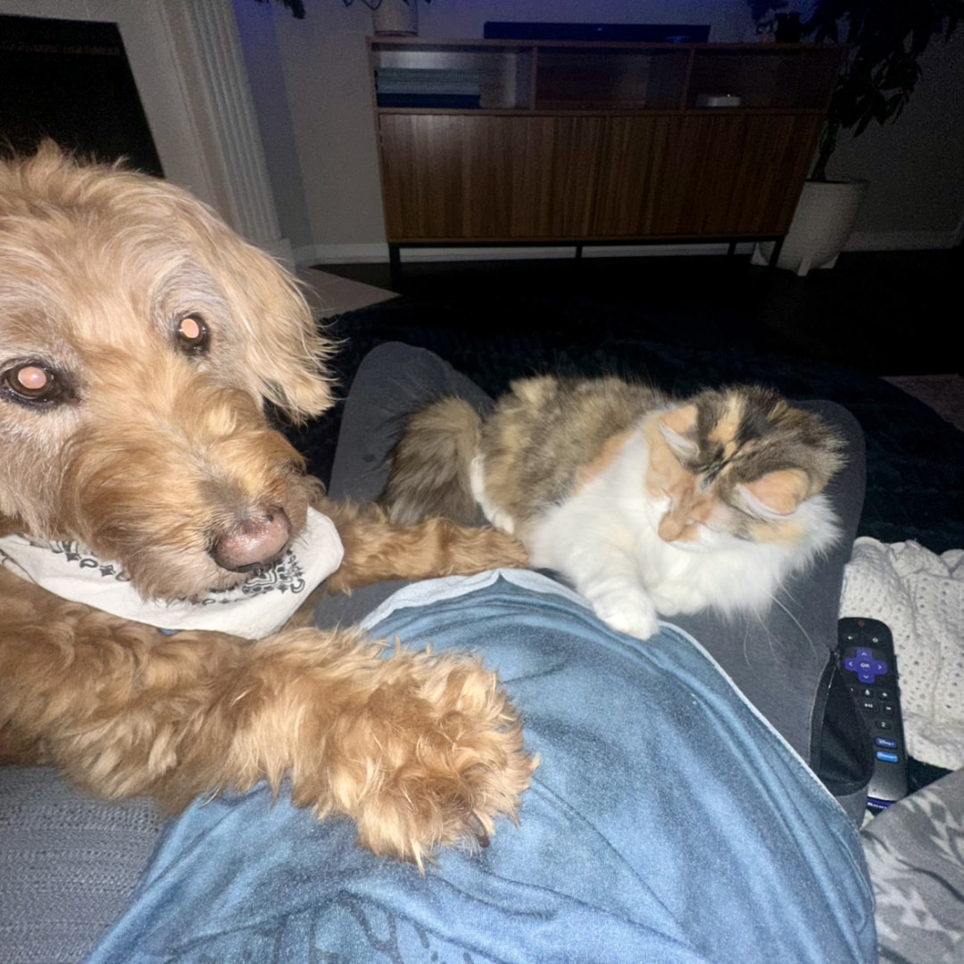 Photo shared by Kelsey for their Babylist baby registry.