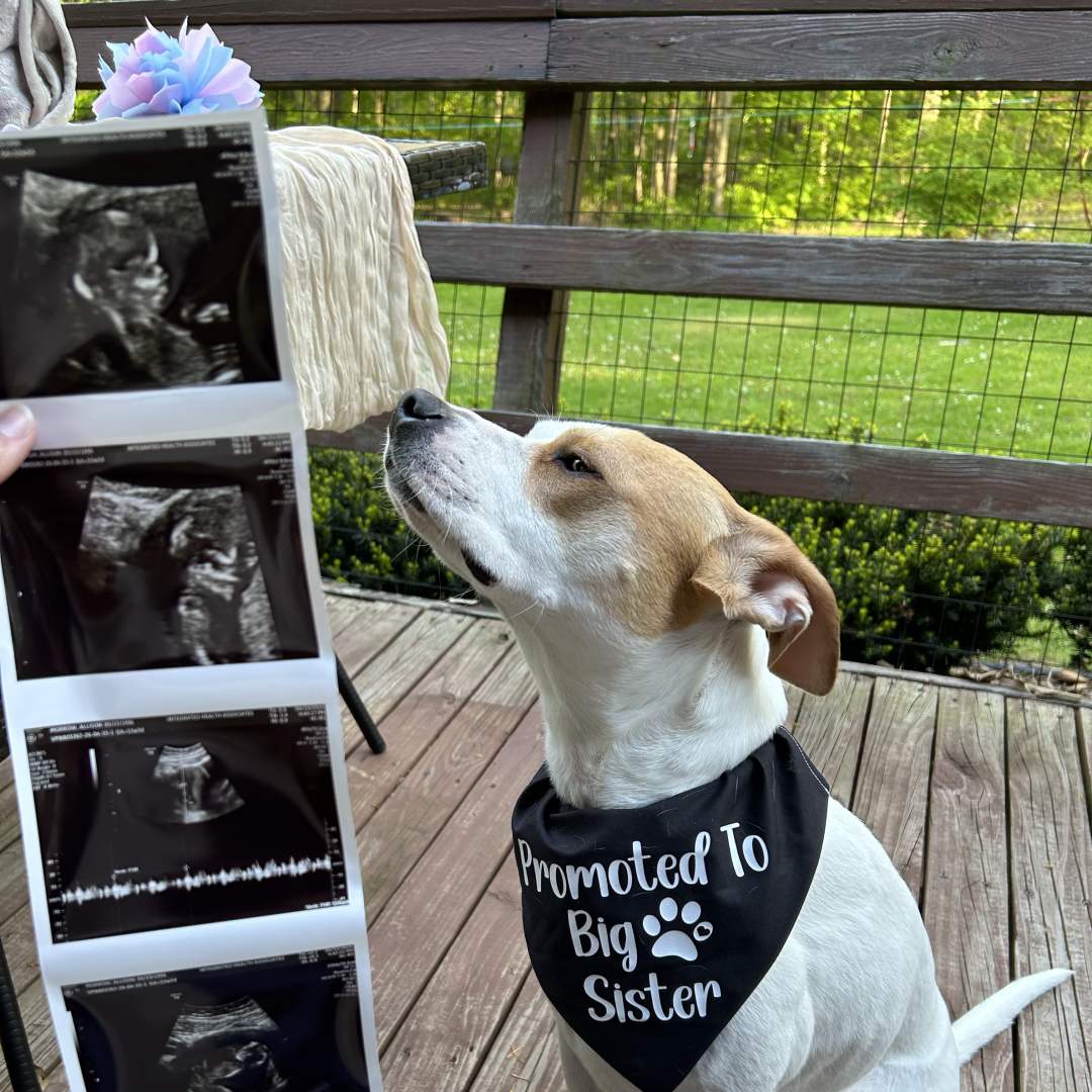 Photo shared by Allison for their Babylist baby registry.