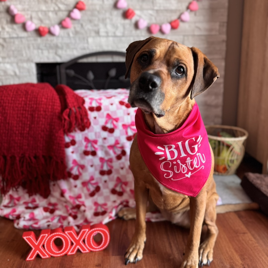 Photo shared by Kenzie for their Babylist baby registry.