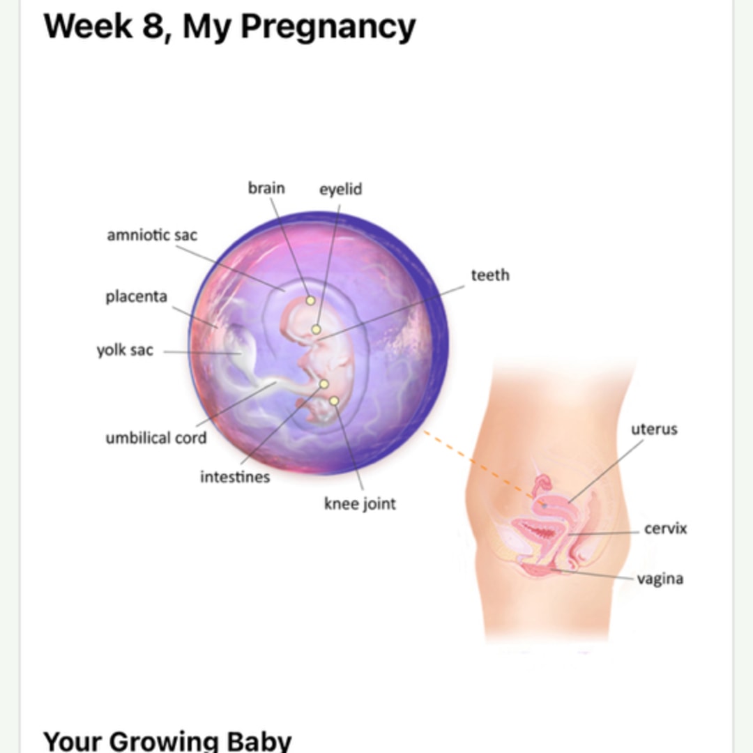 Photo shared by Anamrie for their Babylist baby registry.