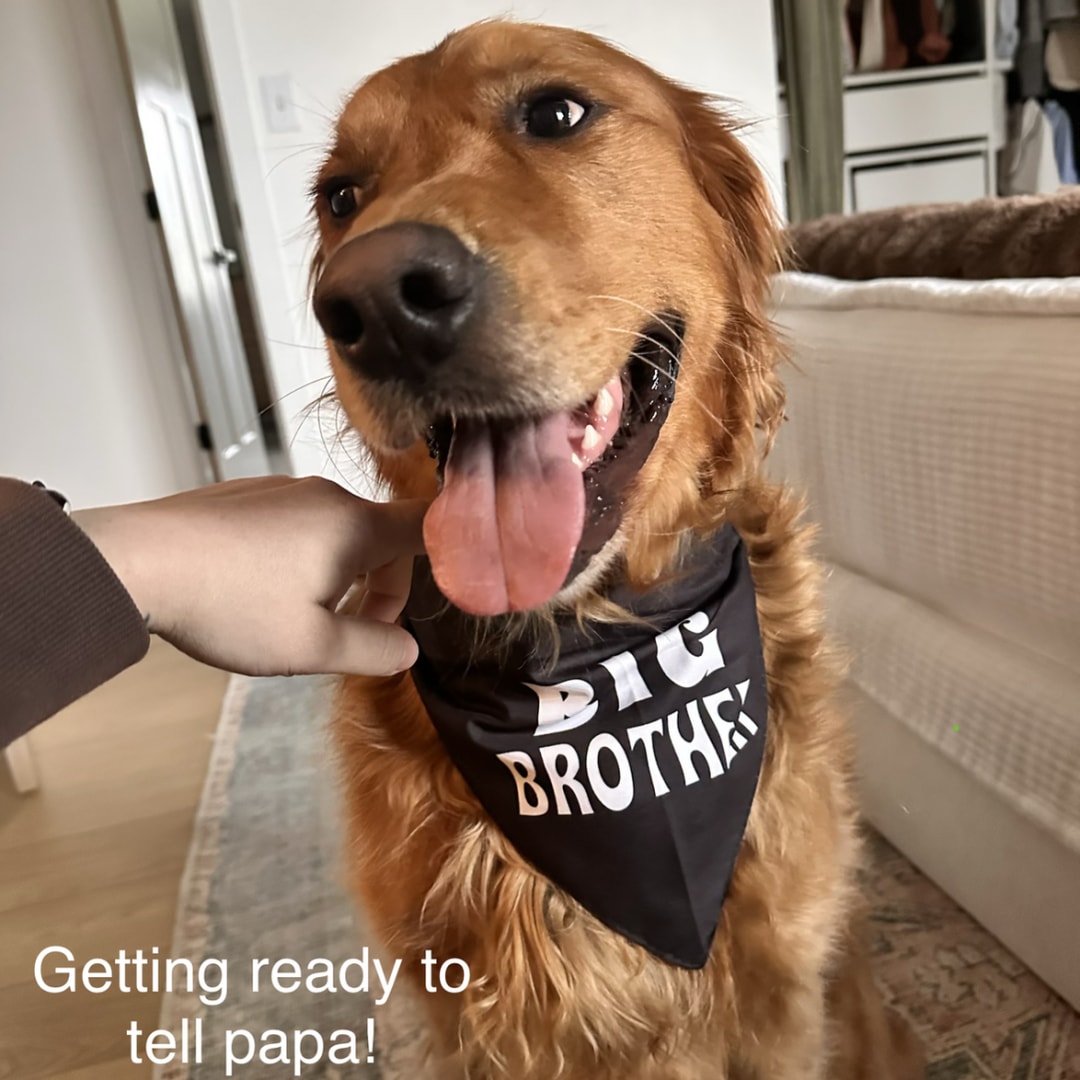 Photo shared by Courtney for their Babylist baby registry.