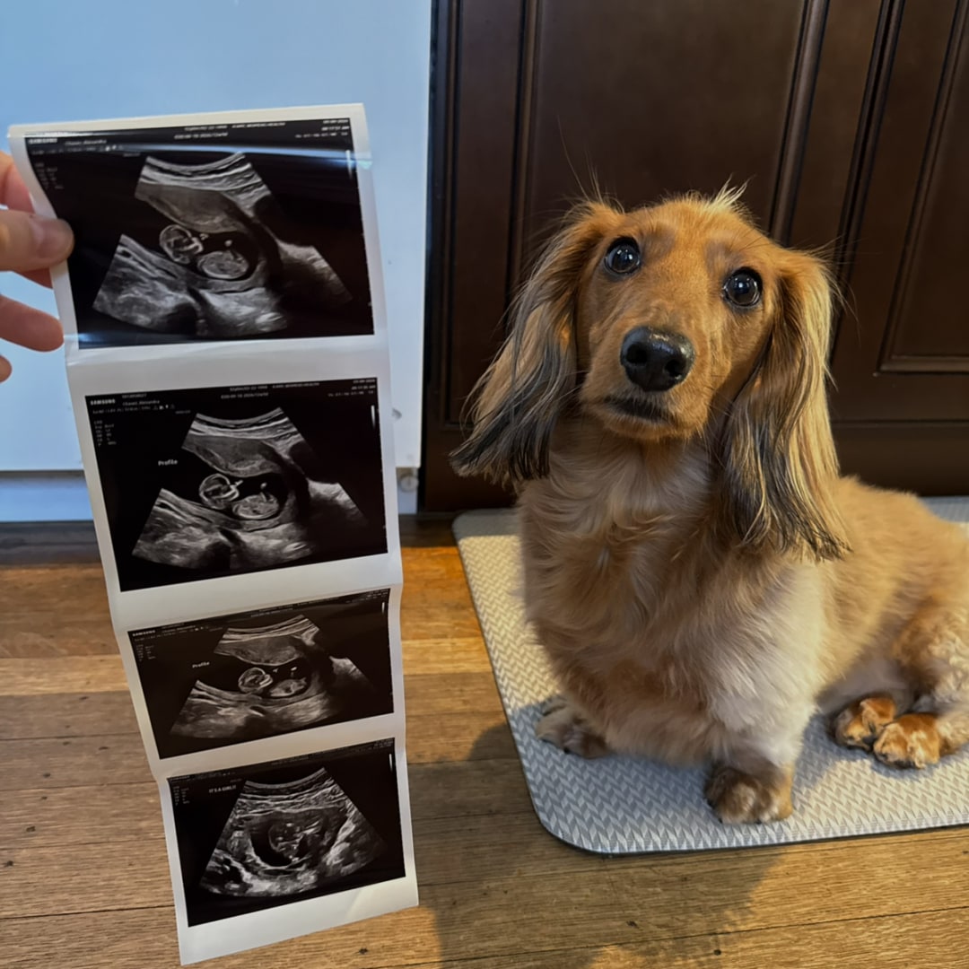 Photo shared by Allie for their Babylist baby registry.