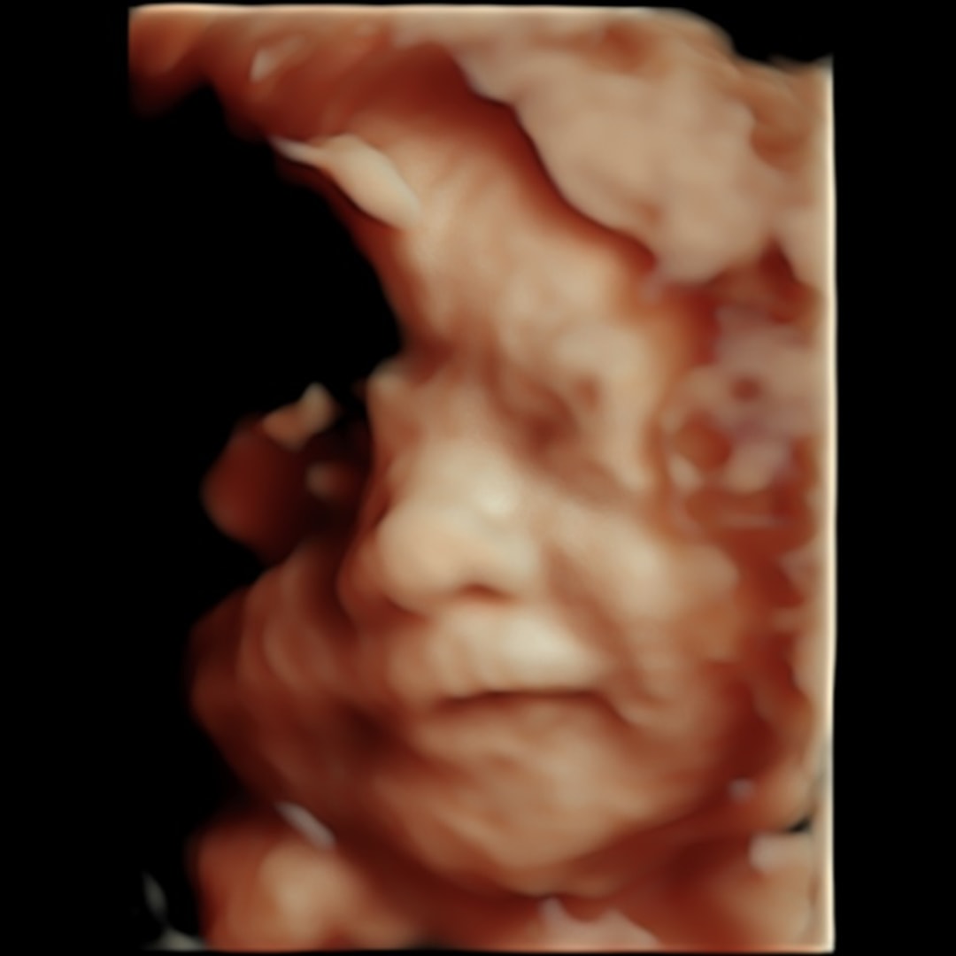 Photo shared by Adrienne for their Babylist baby registry.