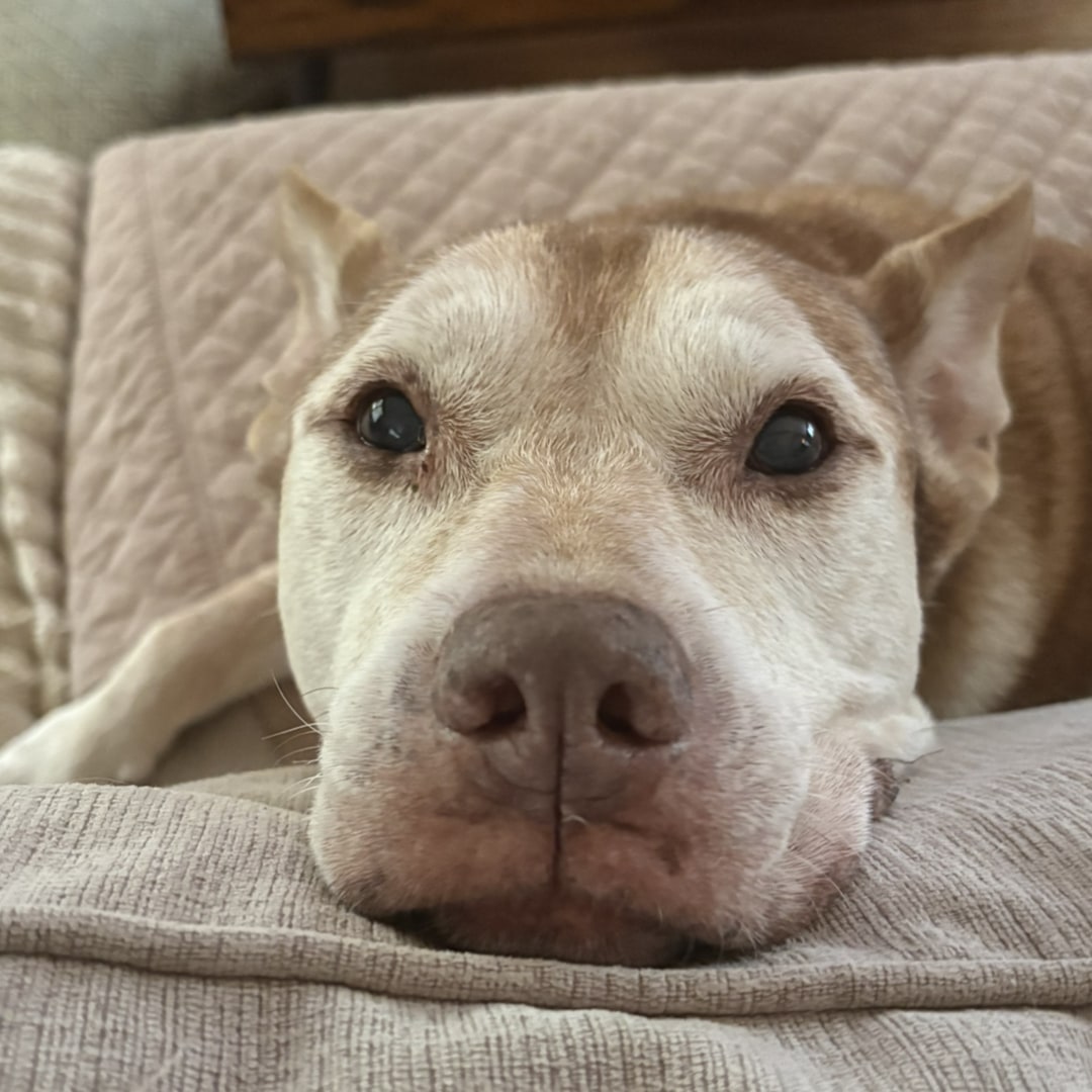 Photo shared by Addison for their Babylist baby registry.