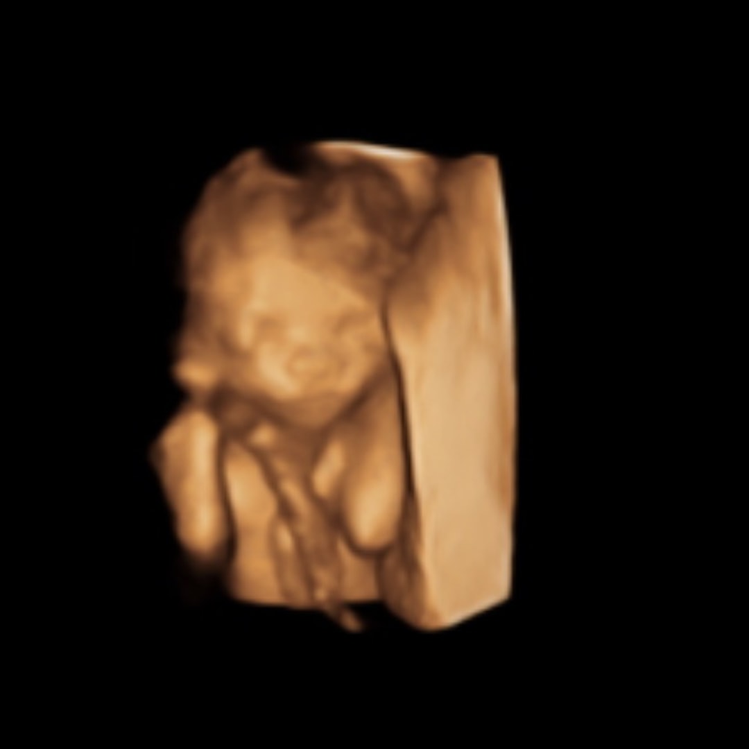 Photo shared by Haven for their Babylist baby registry.