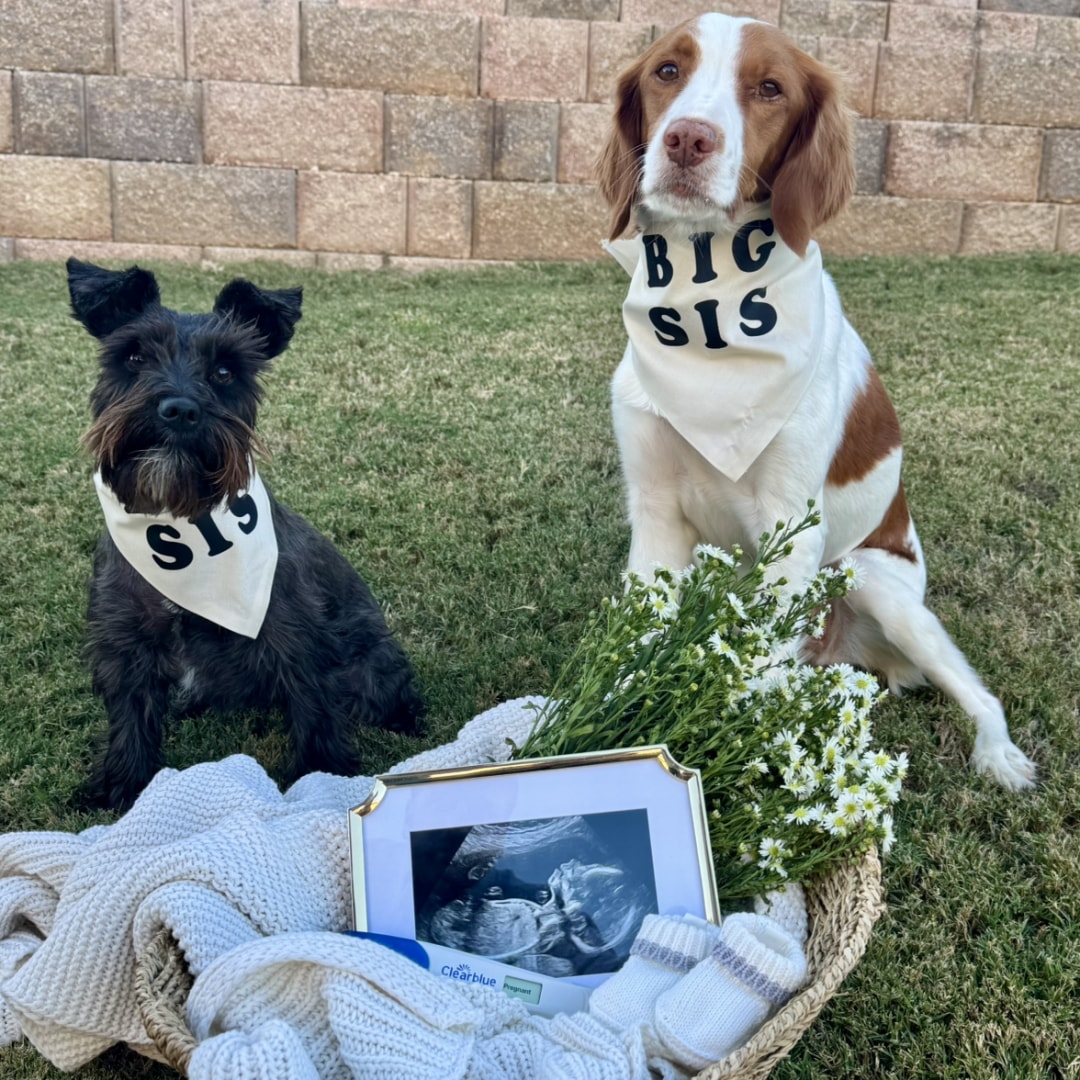 Photo shared by Maria for their Babylist baby registry.