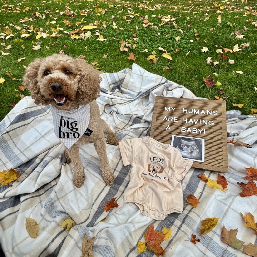 Photo shared by Caiti for their Babylist baby registry.