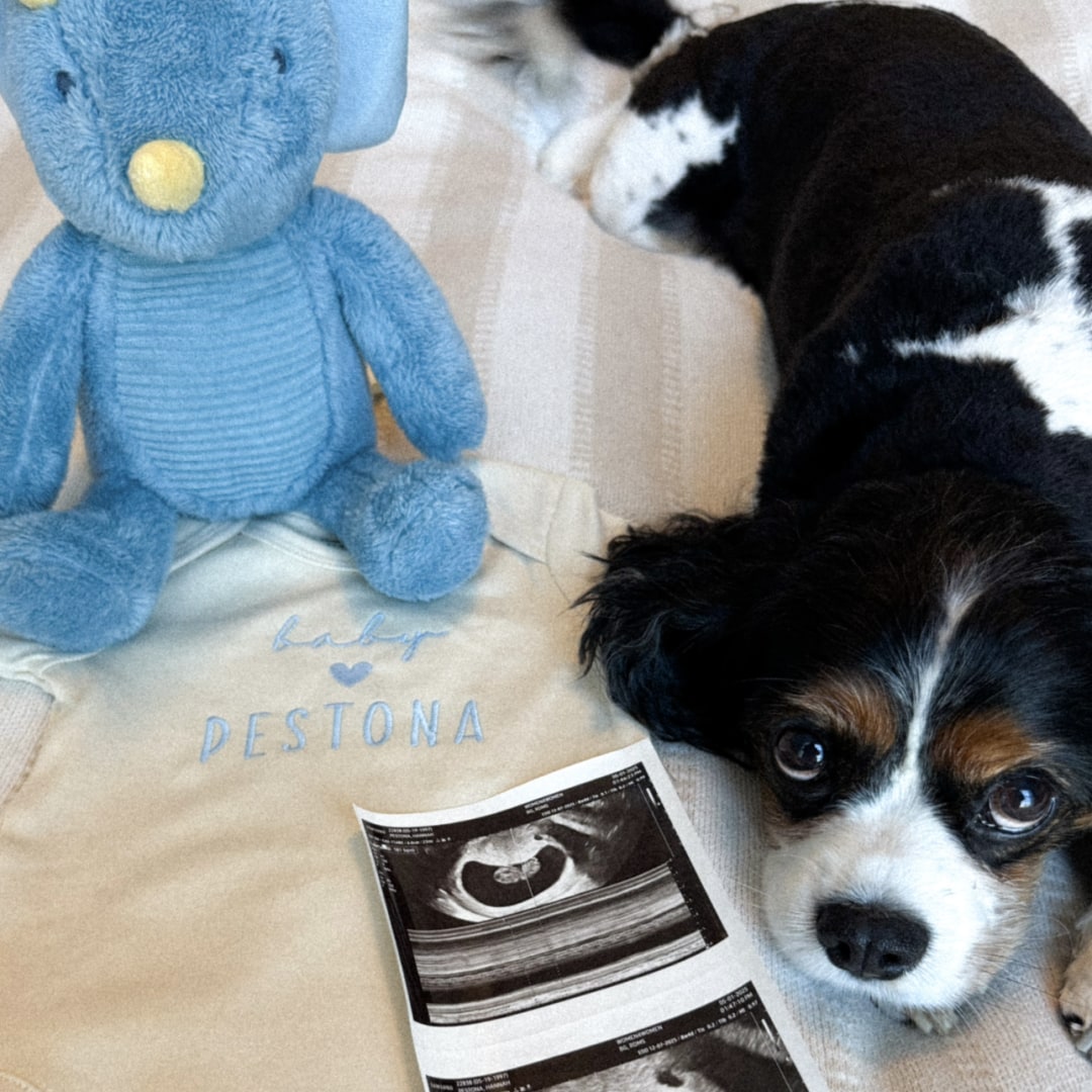 Photo shared by Hannah for their Babylist baby registry.