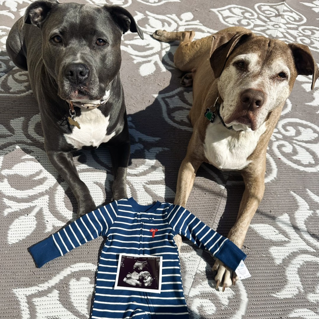Photo shared by Sarah for their Babylist baby registry.