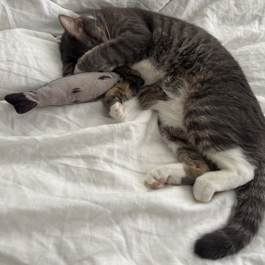 Photo shared by Cheyenne for their Babylist baby registry.