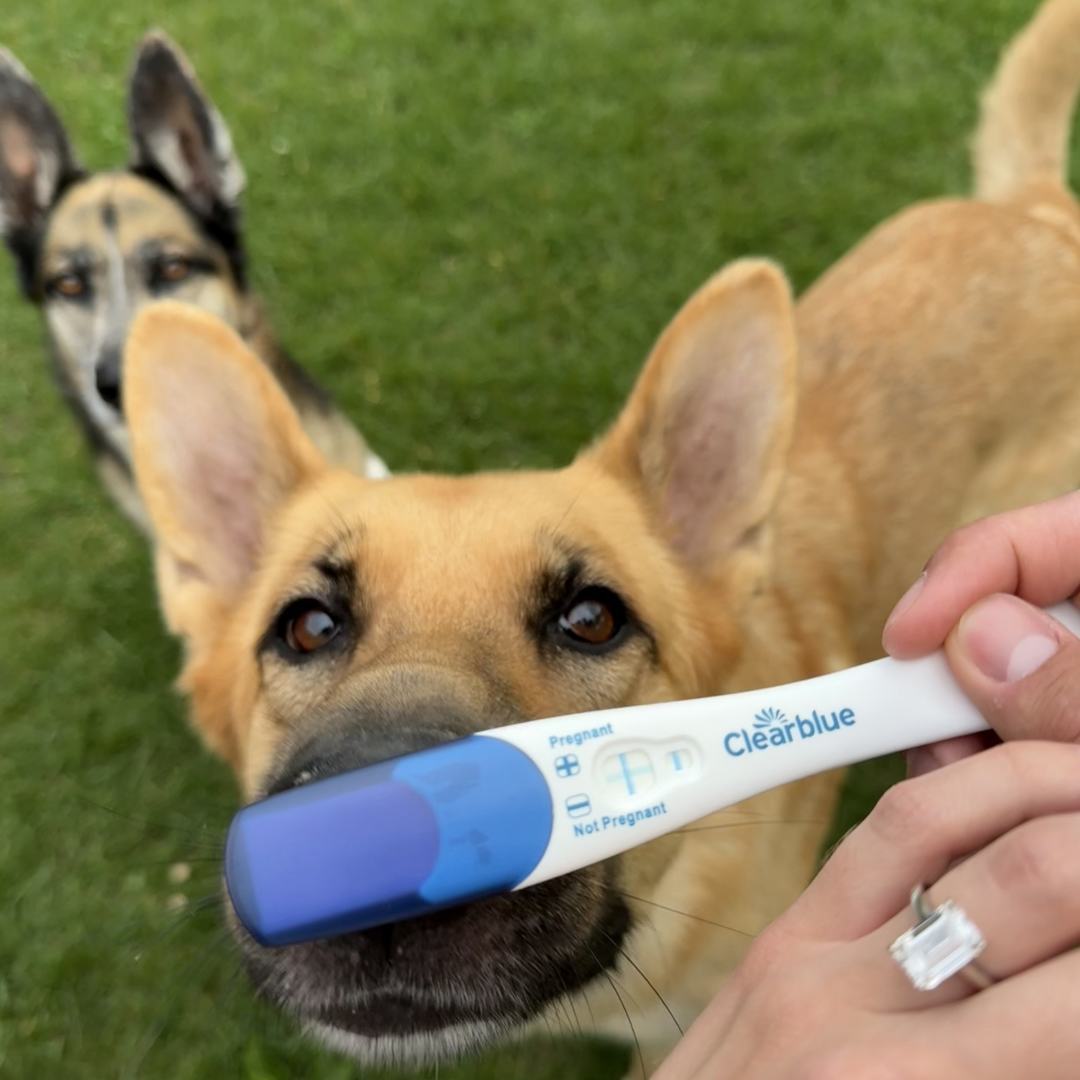 Photo shared by Kira & Maximillion for their Babylist baby registry.