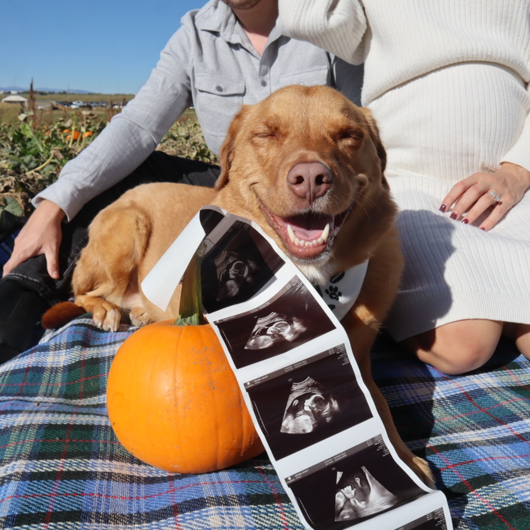 Photo shared by Ashley for their Babylist baby registry.