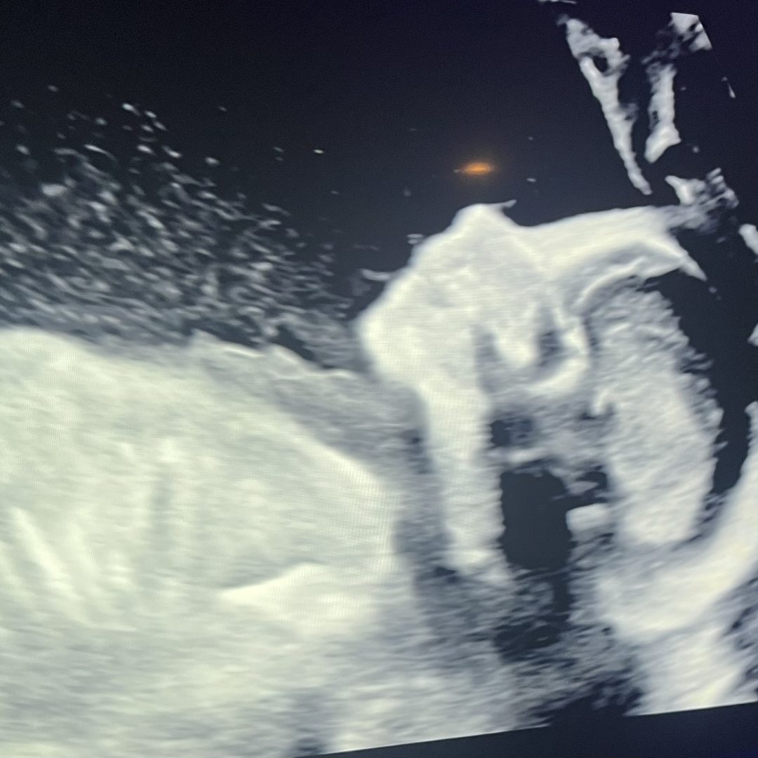Photo shared by Desiree for their Babylist baby registry.