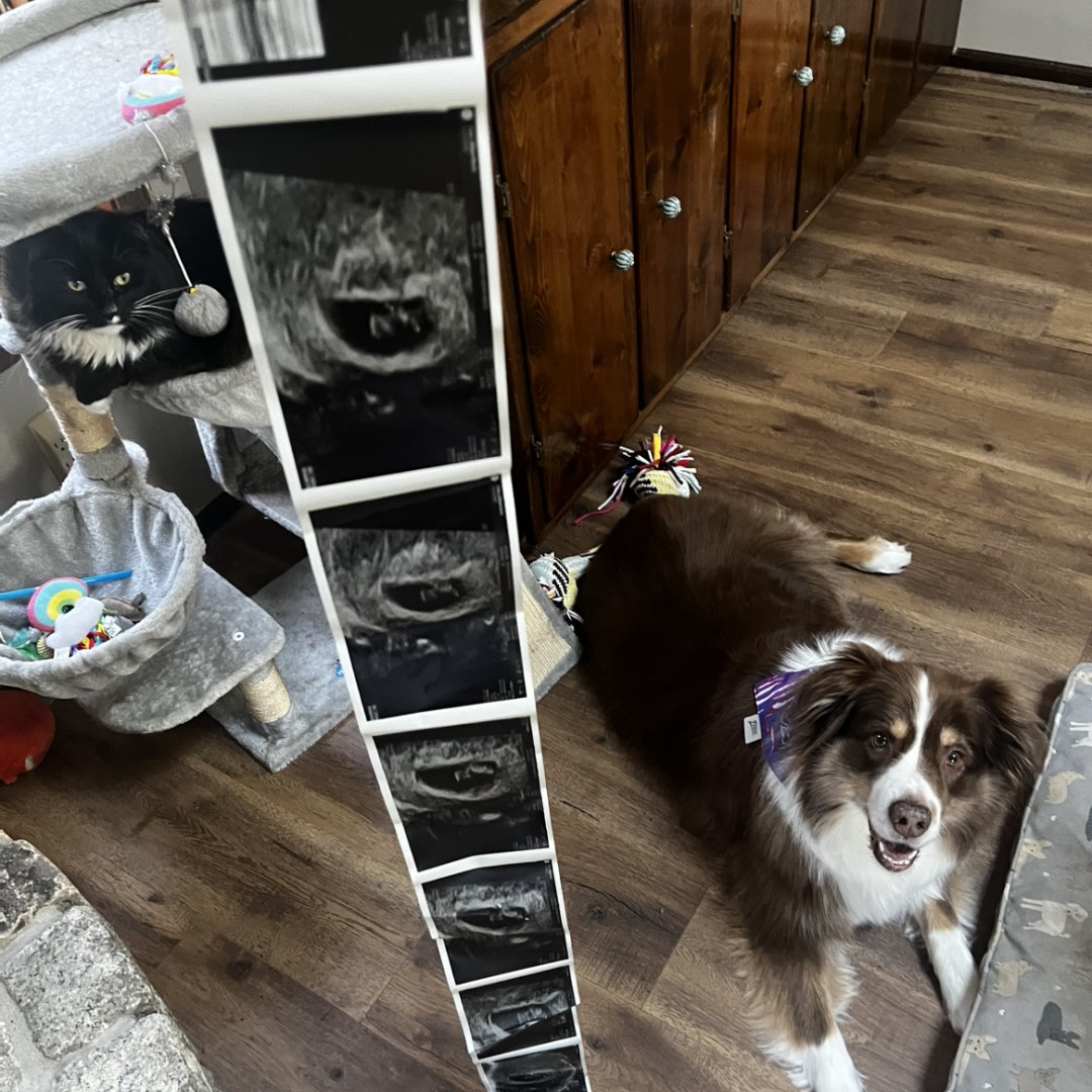 Photo shared by Jill for their Babylist baby registry.