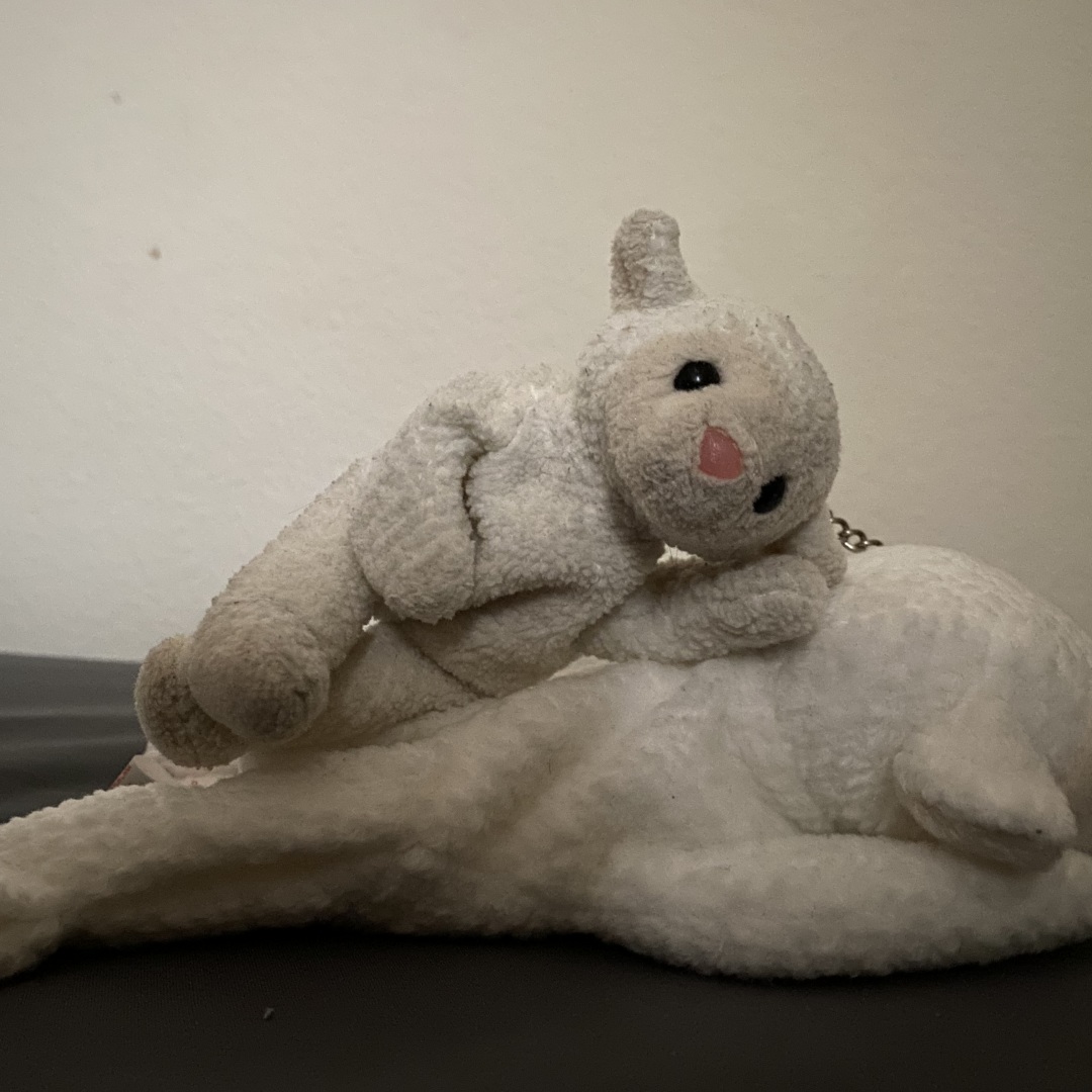 Photo shared by Dongeun for their Babylist baby registry.