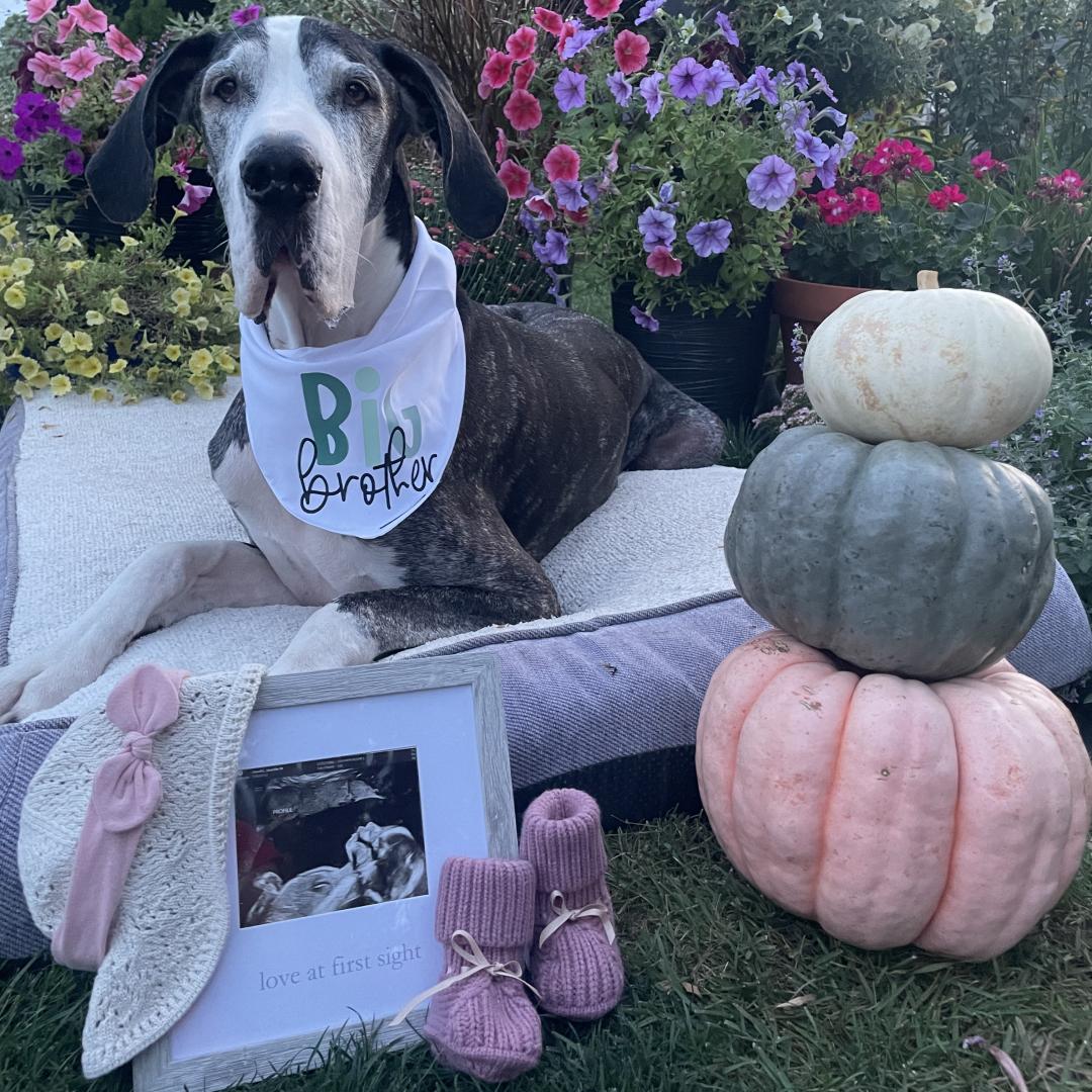 Photo shared by Jenny for their Babylist baby registry.