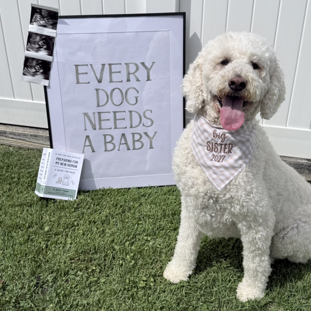Photo shared by Emily for their Babylist baby registry.