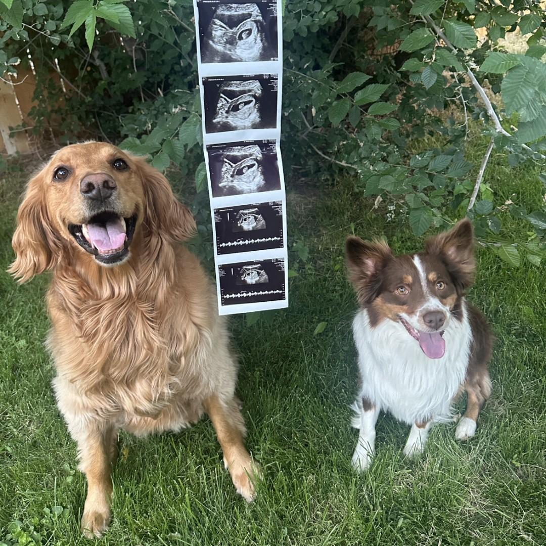 Photo shared by Rakellah for their Babylist baby registry.