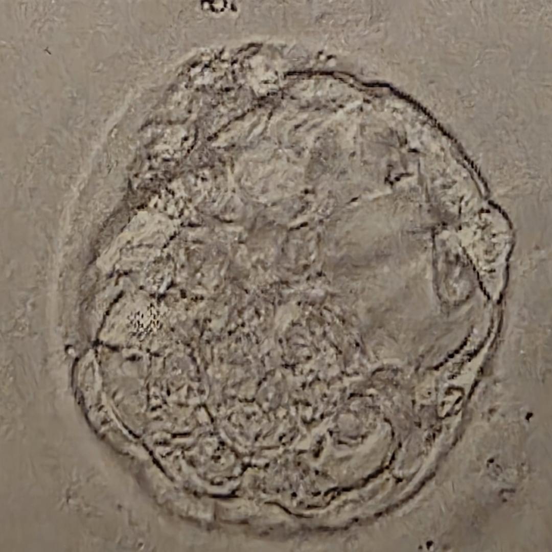 Photo shared by Katie for their Babylist baby registry.