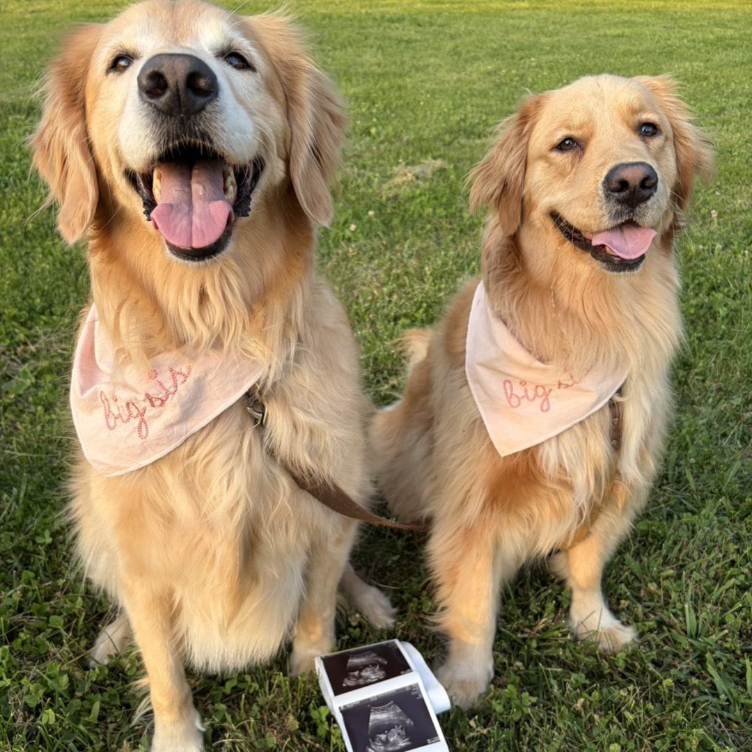 Photo shared by Erryn for their Babylist baby registry.
