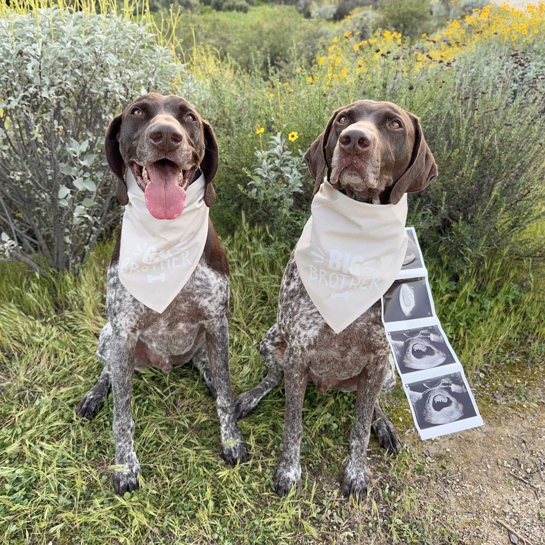 Photo shared by Ashley for their Babylist baby registry.