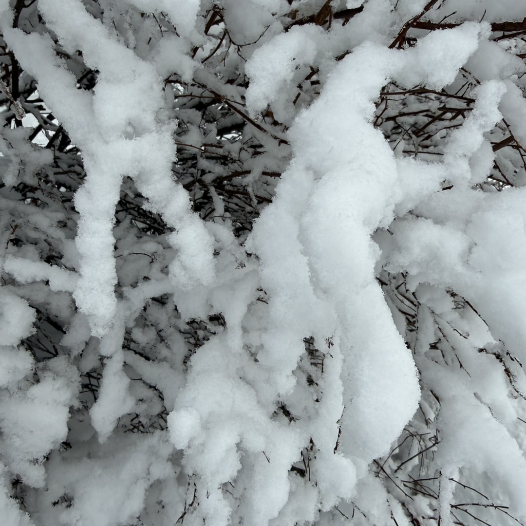 Photo shared by Emily for their Babylist baby registry.