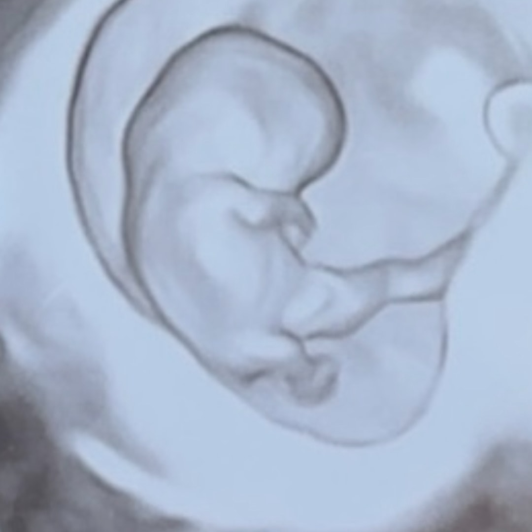 Photo shared by Felicia for their Babylist baby registry.