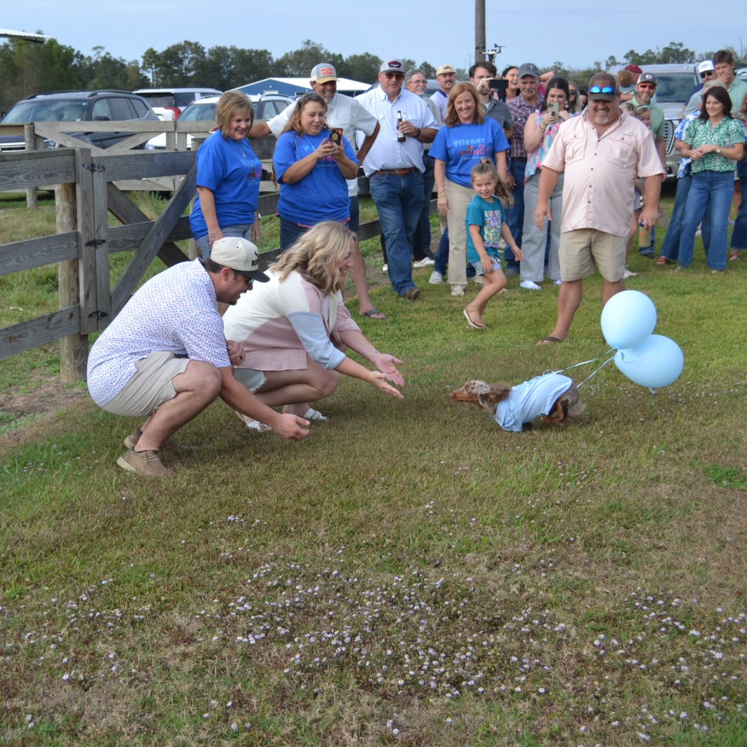 Photo shared by Jaycie for their Babylist baby registry.