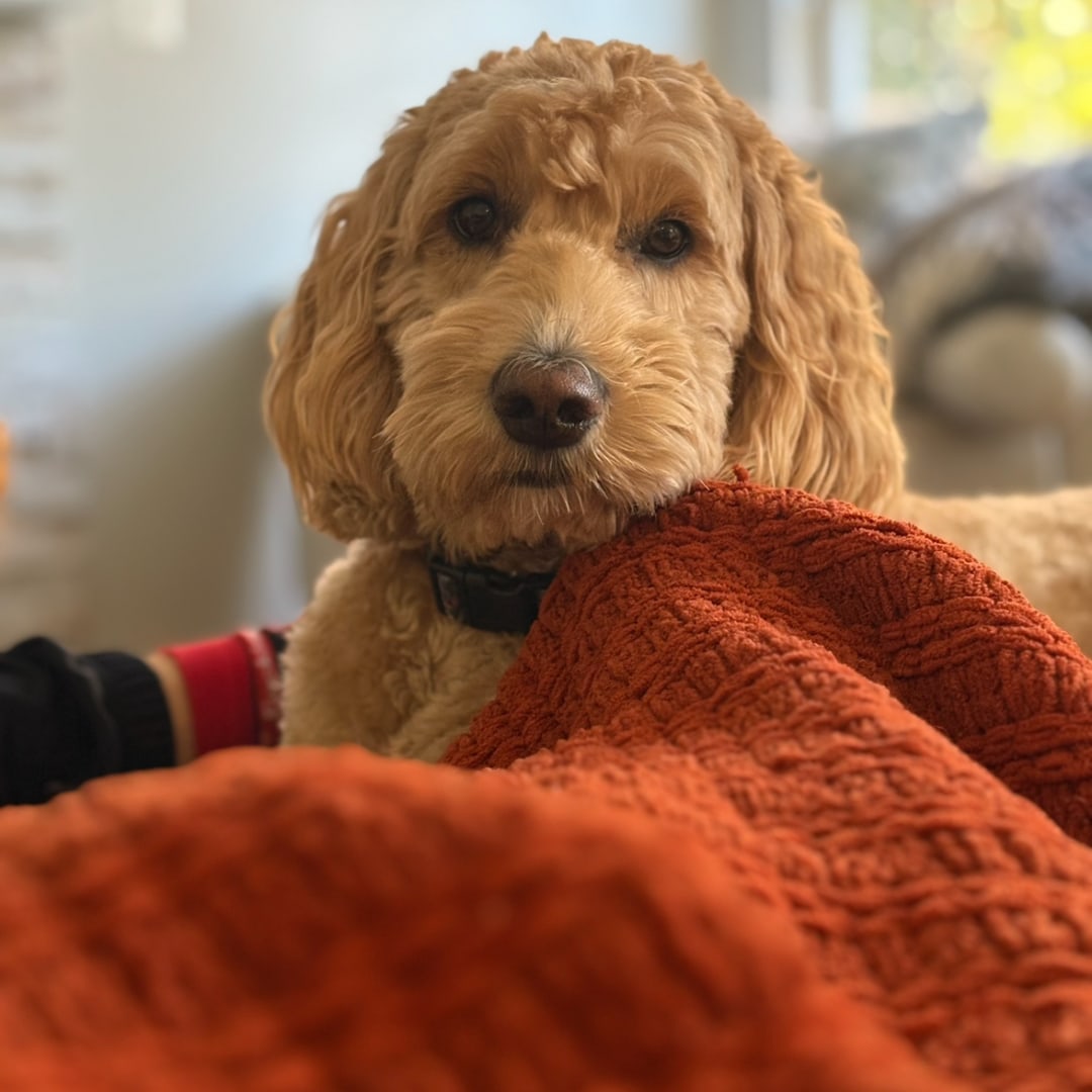 Photo shared by Courtney for their Babylist baby registry.