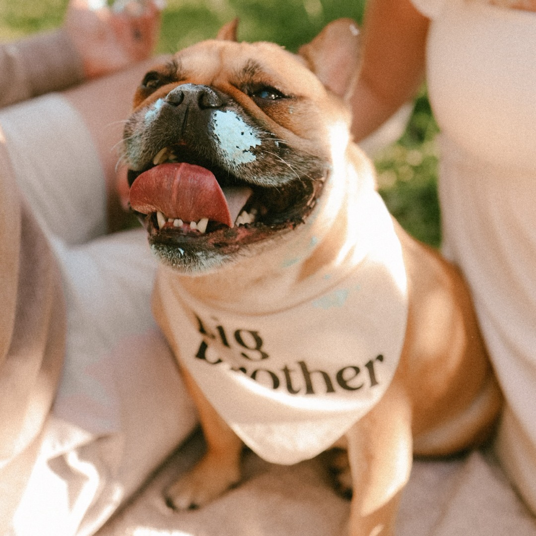 Photo shared by Samantha for their Babylist baby registry.