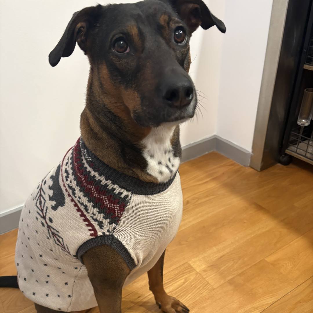 Photo shared by Elisha for their Babylist baby registry.