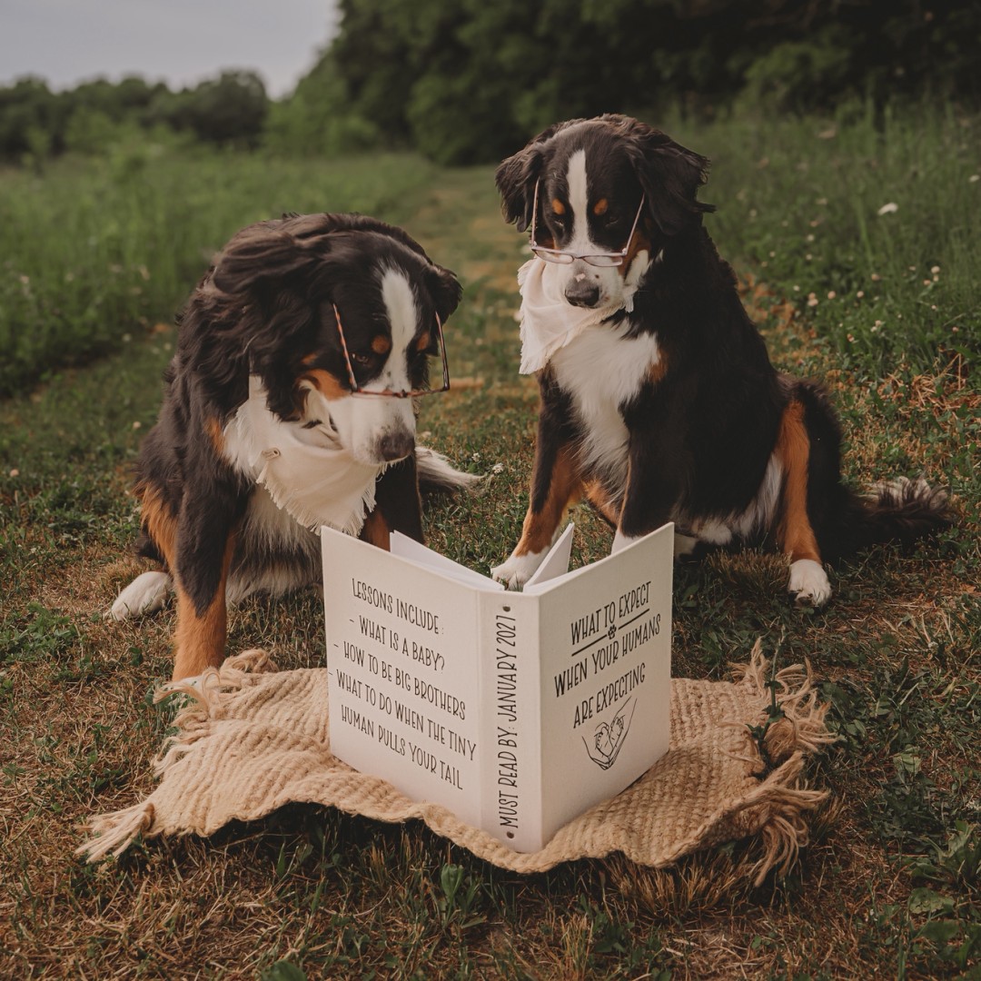 Photo shared by Brodi for their Babylist baby registry.