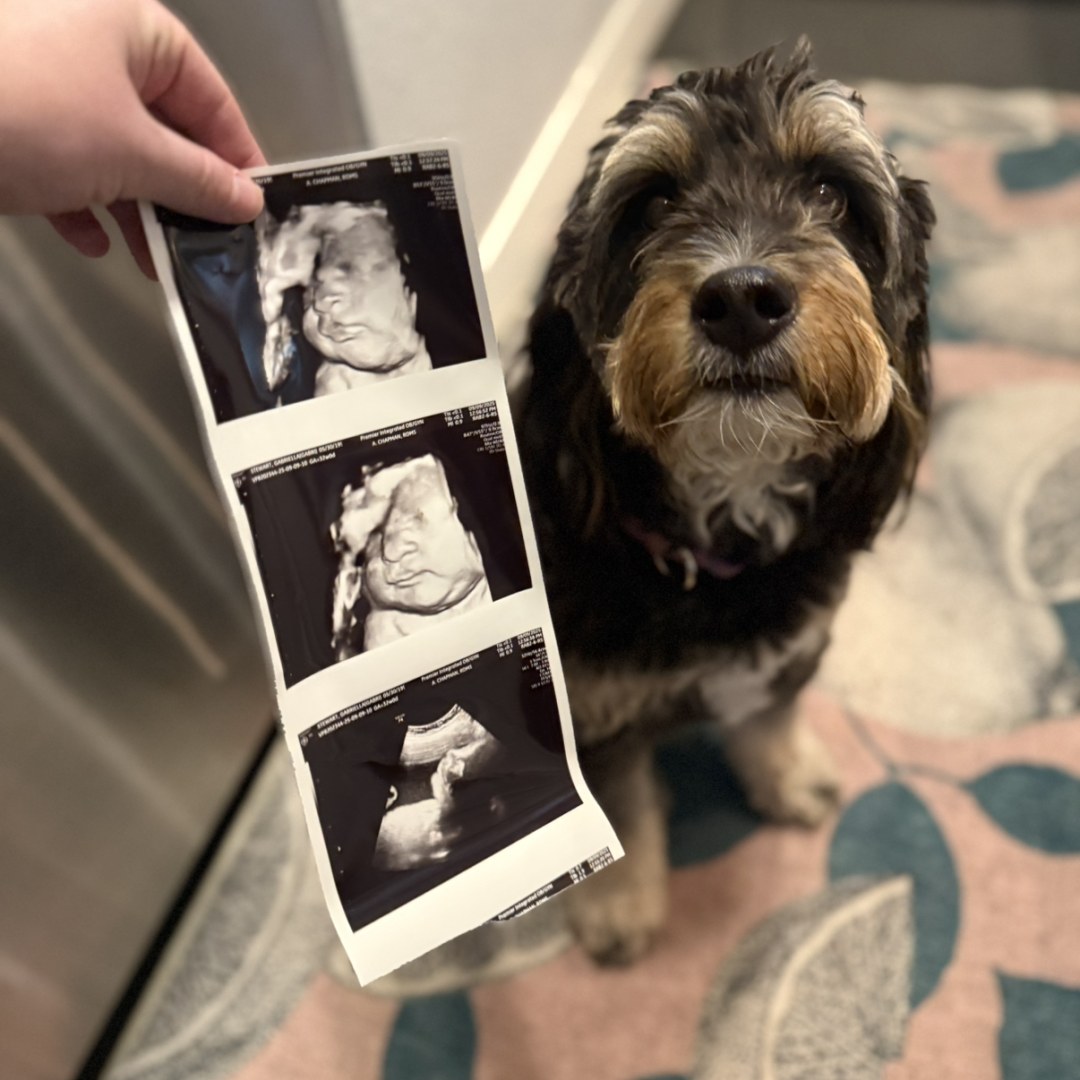 Photo shared by Gabriella for their Babylist baby registry.