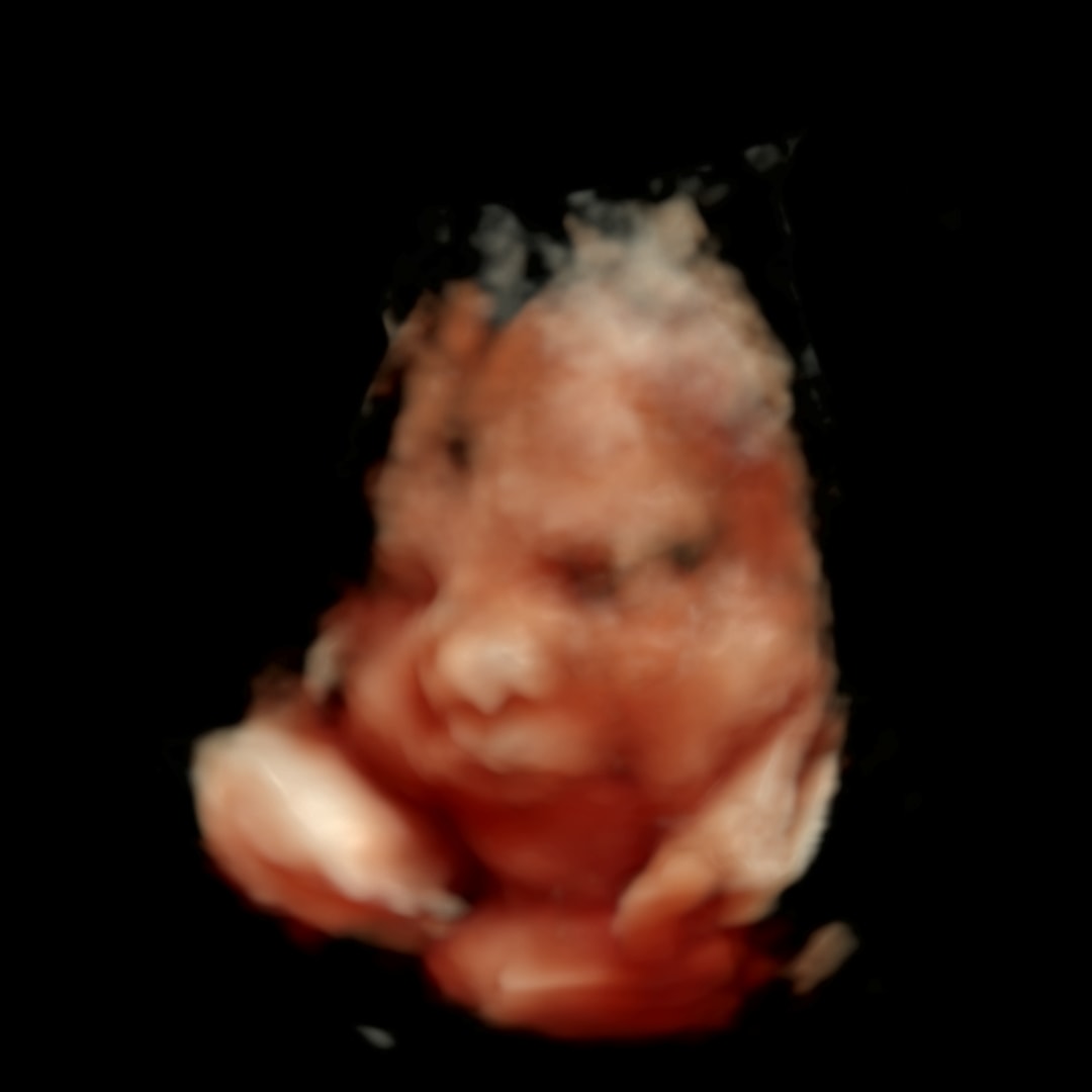 Photo shared by Jayci for their Babylist baby registry.