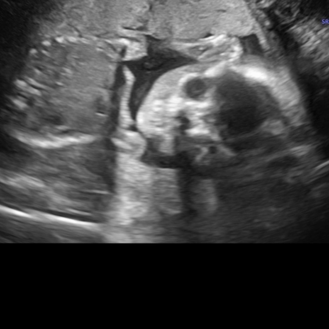 Photo shared by Audrey for their Babylist baby registry.