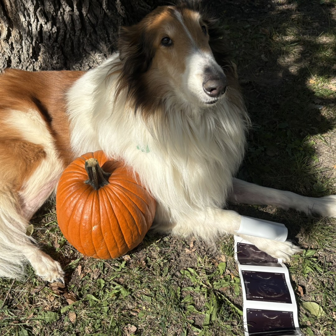 Photo shared by Madalyn for their Babylist baby registry.