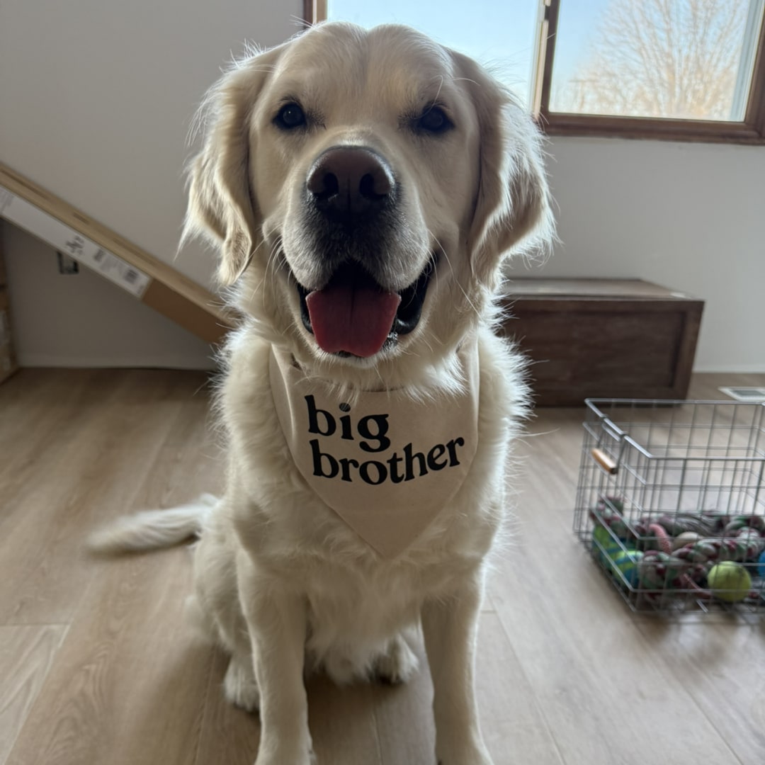 Photo shared by Hannah for their Babylist baby registry.