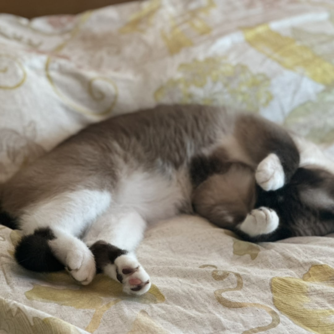 Photo shared by Darcy for their Babylist baby registry.