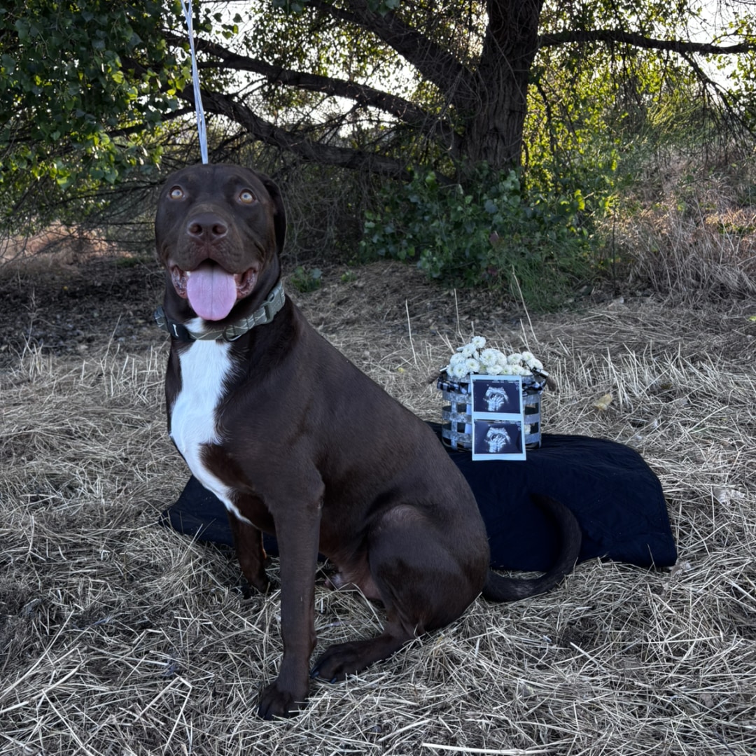 Photo shared by Cheyanne & Ryan for their Babylist baby registry.