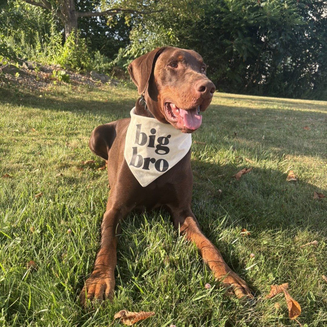 Photo shared by Lizzie for their Babylist baby registry.