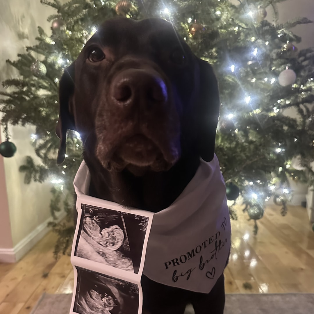 Photo shared by Haley for their Babylist baby registry.