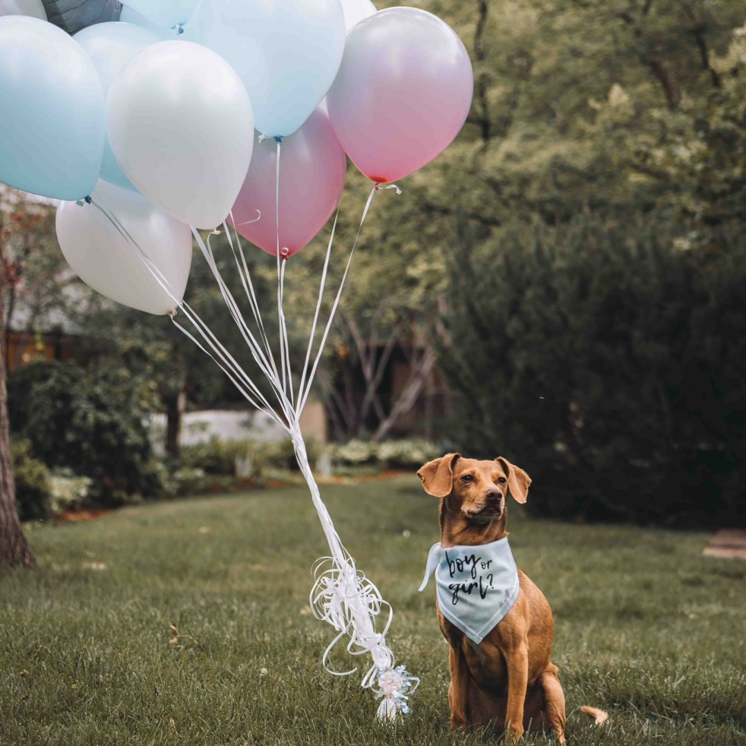 Photo shared by Emily for their Babylist baby registry.