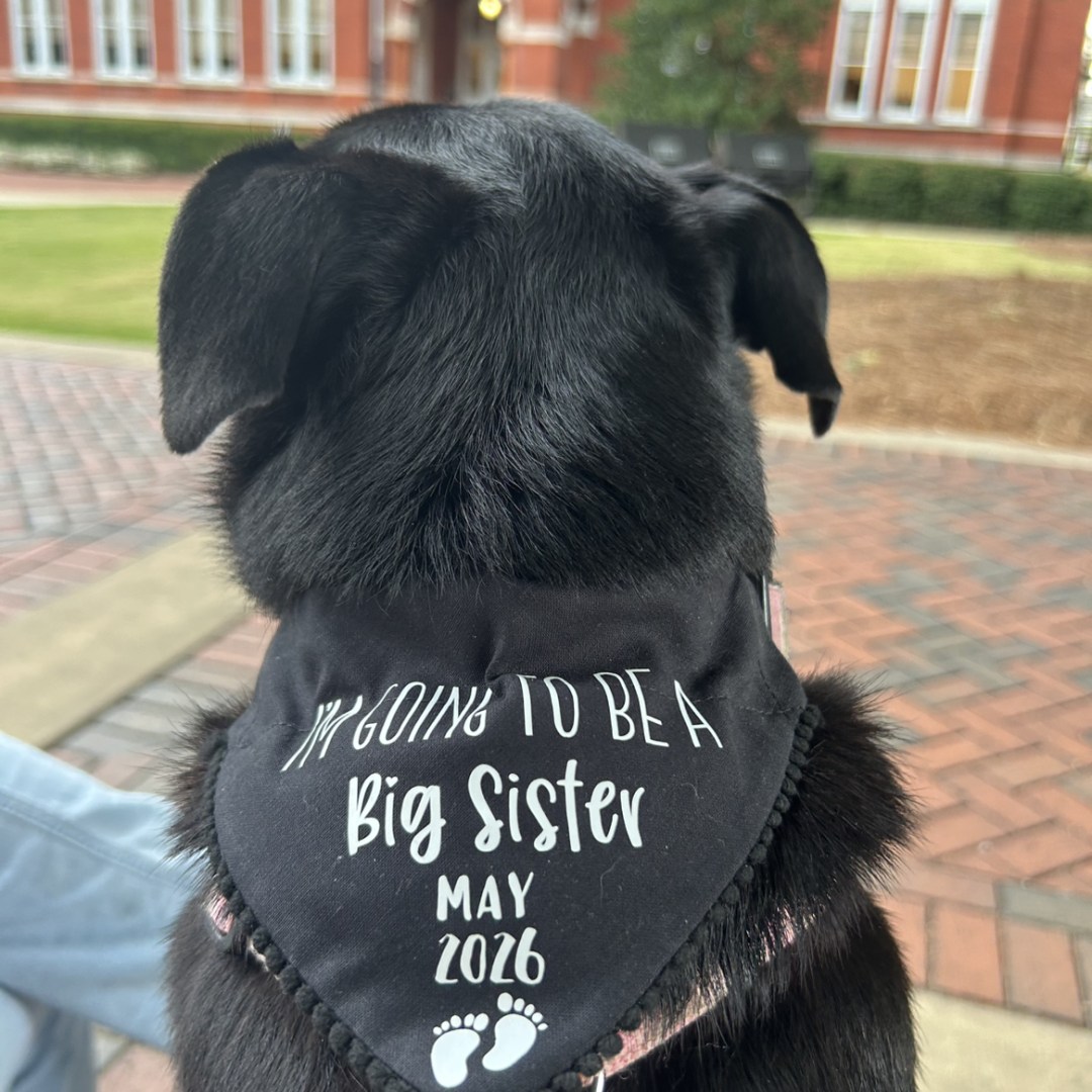 Photo shared by Ashtyn for their Babylist baby registry.