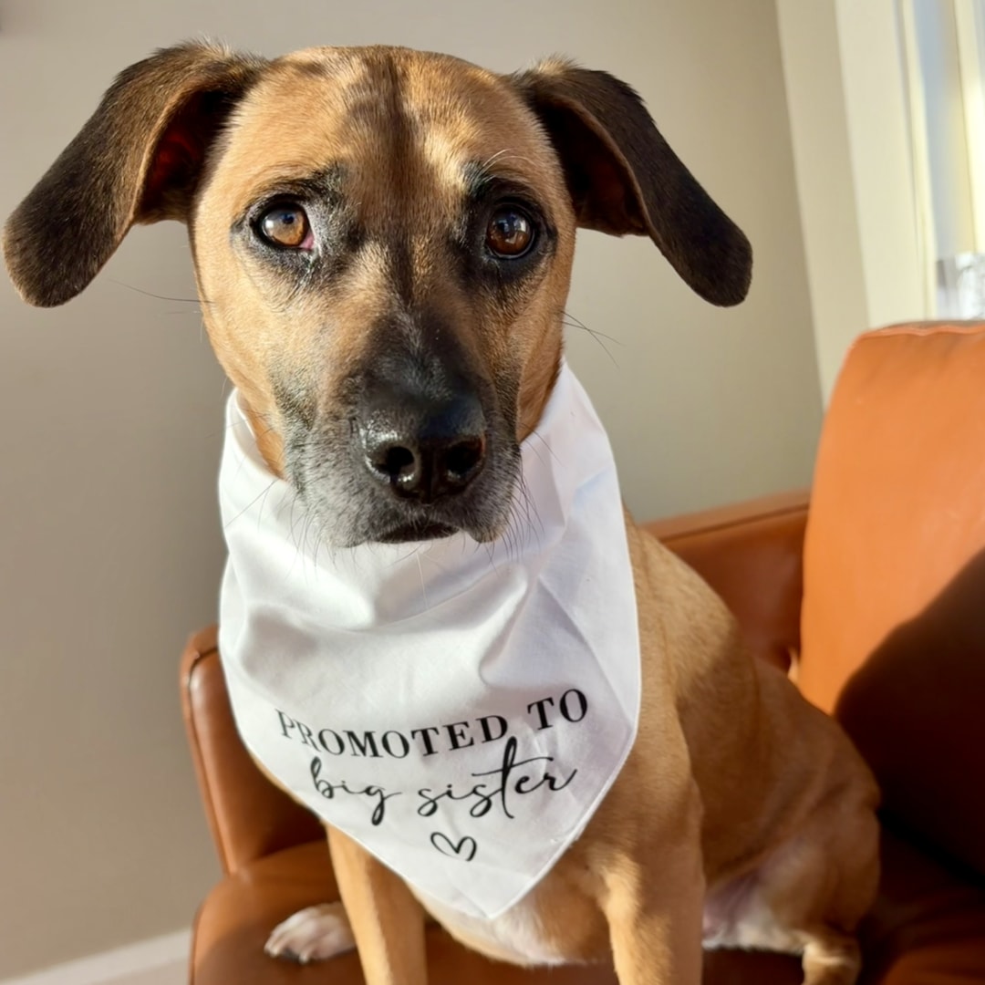 Photo shared by Monique for their Babylist baby registry.