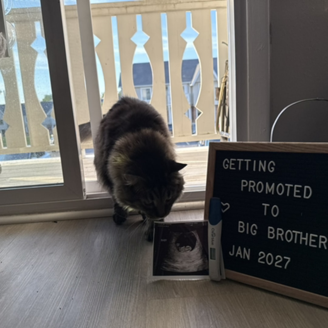 Photo shared by Jade for their Babylist baby registry.