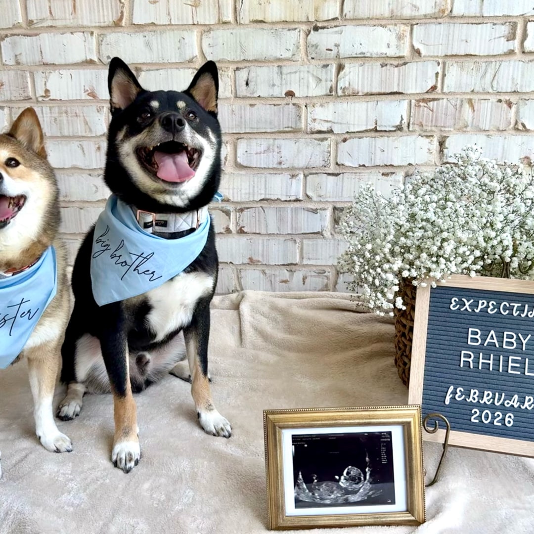 Photo shared by Cassandra for their Babylist baby registry.