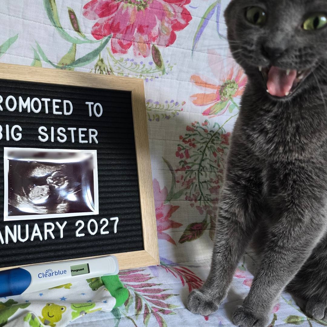 Photo shared by Camara for their Babylist baby registry.