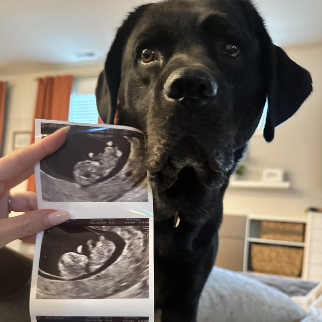 Photo shared by Haley for their Babylist baby registry.